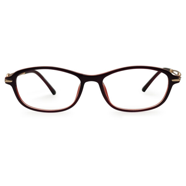Brown Transparent Color Eyeglass