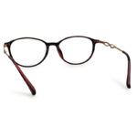 Brown Transparent Color Eyeglass