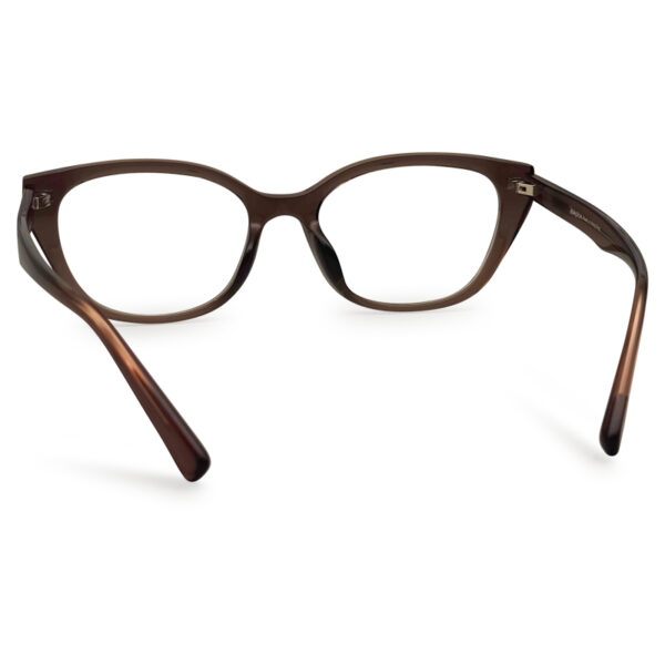 New Arrival Woman Eyeglass